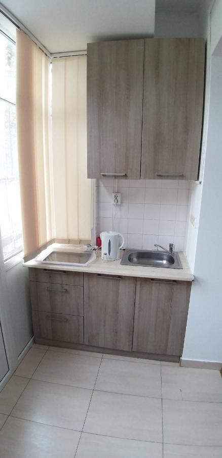 Domum George Enescu Apartment Bucharest Luaran gambar